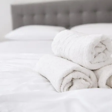 Donau Comfort لينتز