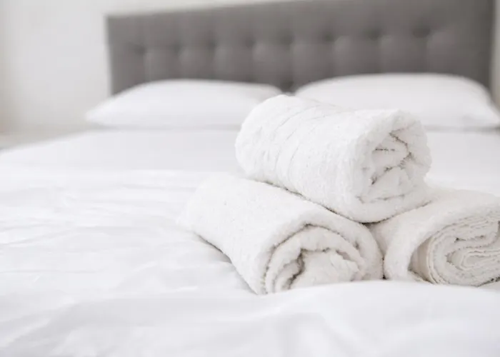 Donau Comfort لينتز